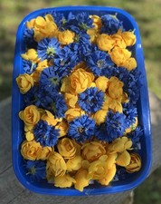 Deko-Blüten Streudeko, gelb blau, Sommer, zum Basteln , dekorieren