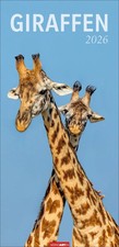 Giraffen Kalender 2026 | Kalender | Tierkalender Weingarten | Spiralbindung