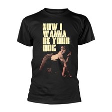 IGGY AND THE STOOGES NIWBYD