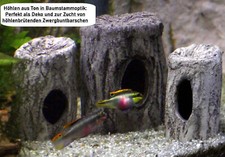 Fisch höhle baumstamm aus - fisch,
