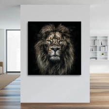 Acrylglas wandbild löwe - wandbild,