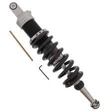 Stoßdämpfer Federbein hinten