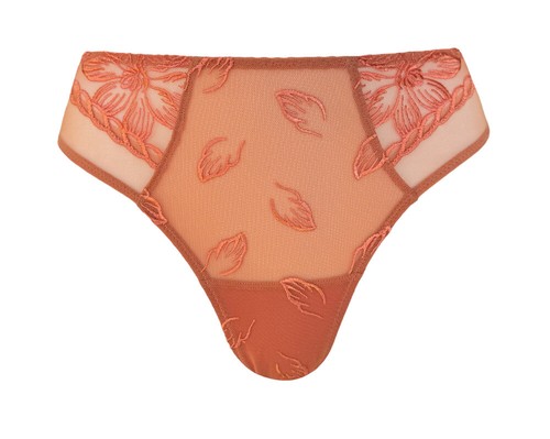 Lise charmel slip fleur - slip,
