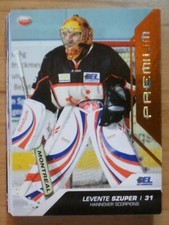 DEL 2009/10 Hannover Scorpions Team Set Bronze Komplett 22 Karten !!!