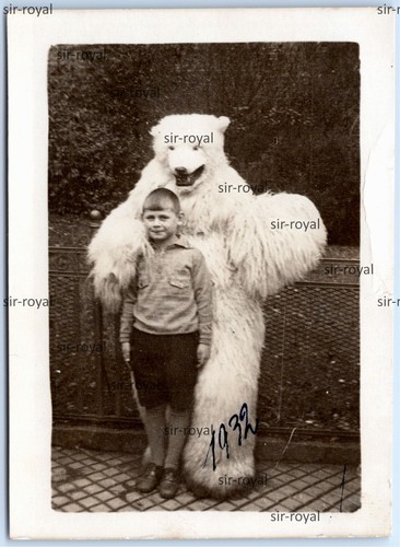 Mann eisbär kostüm 1932 - eisbär,