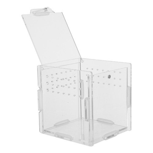 Durable acrylic terrarium for - durable,