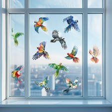 Fensterbilder Papageien