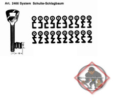 Buntbartschlüssel Artikel 2466 System Schulte-Schlagbaum Nummer 1 - 20
