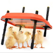 40x40cm Küken-Wärmeplatte