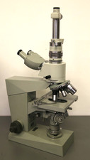 ZEISS JENA BINOKULARES