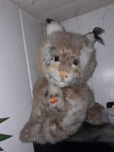 Steiff molly luchs 90er - luchs,