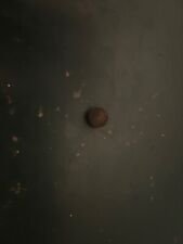 Stopfen Verschluß Befestigungsschraube Armaturenbrett VW 1303 ET-Nr. 133857199