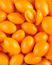 Tomatensamen (7+ Samen)