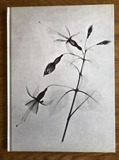 Zimmerpflanzen in Farbe