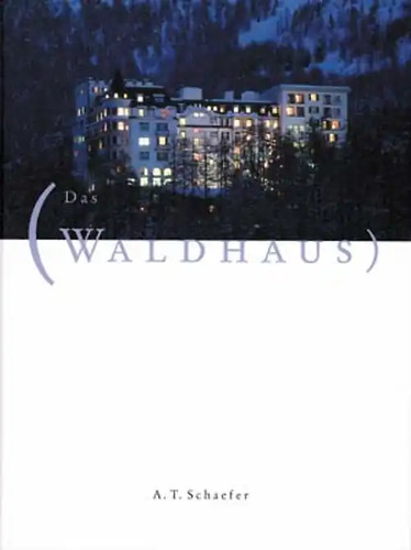 Das waldhaus sils maria - das,
