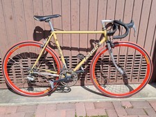 RENNRAD PATELLI Champion