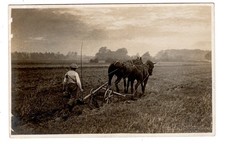 AK Foto um 1900 Bauer Pferdepflug Karl Meyer Stolberg Harz Landwirtschaft farmer