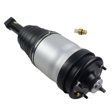 Stoßdämpfer Federbein