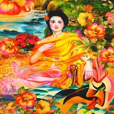 Jersey Panel India Sari