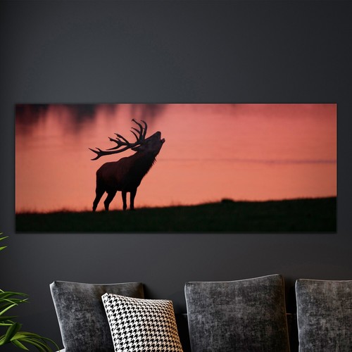 Glasbilder wandbild modern - glasbilder,