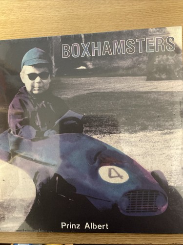 Boxhamsters prinz albert - ,