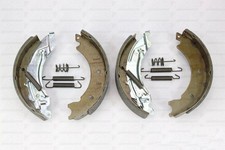 Original Knott Bremsbacken 250x40 Radbremse 25-2025 für eine Achse mit Federn