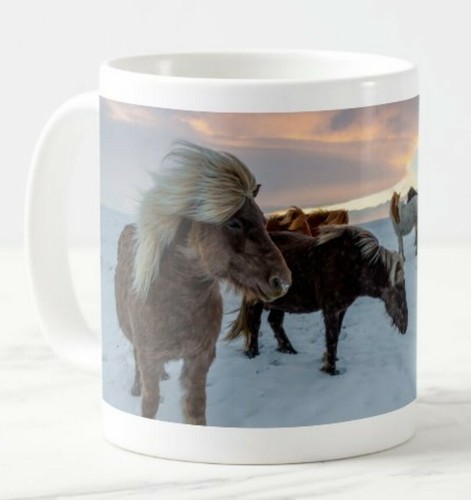 Schöne island pferde tasse - schöne,