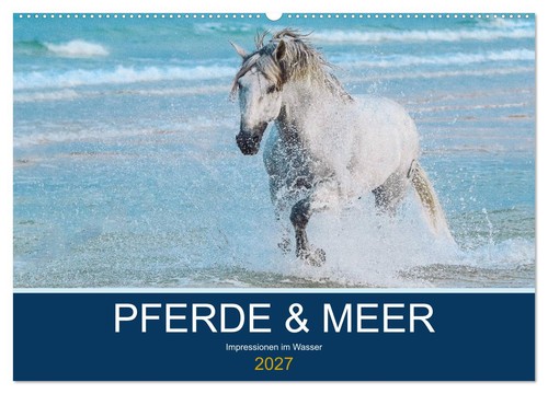 Pferde meer wandkalender - &, (wandkalender