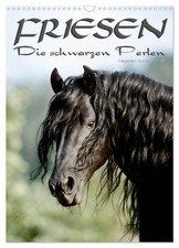 Friesen - die schwarzen Perlen