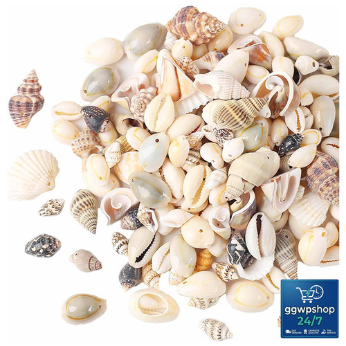 Muscheln basteln mit - muscheln,