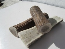 Hirschhorn Geweihstück Hirschgeweih Hirsch Abwurfstange Geweihspitze