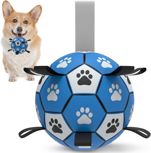 Hundeball spielzeug interaktiv - spielzeug,