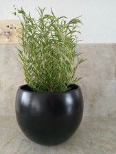 Runder Übertopf matt Schwarz Übertopf Keramik Blumentopf