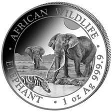Silbermünze 1 oz Somalia Elefant 2026 999 Silber 100 Shilling African Wildlife
