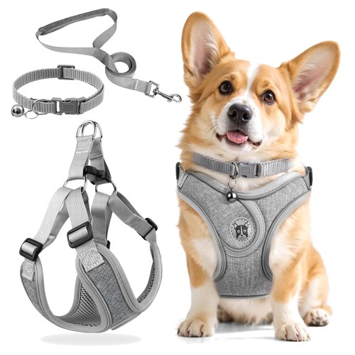 Hundegeschirr set verstellbar - hundegeschirr,