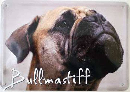 Blechpostkarte hund - blechpostkarte,