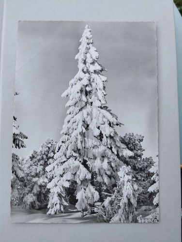 Weihnachtskarte - ak,