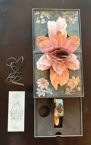 Tomorrowland treasure case - tomorrowland,