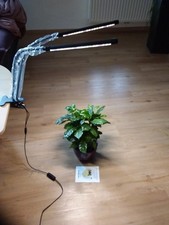 Pflanzenlampe LED  mit 2  Armen