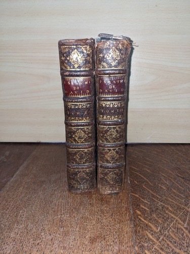 Altes buch maistre - altes,