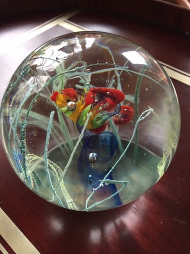 Paperweight mit zierfisch - paperweight, im