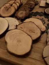 40 x Holzscheiben bastel Set