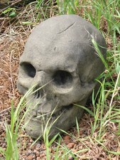 Schädel Totenkopf Kopf mittel