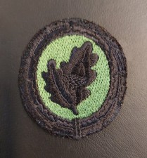 Stoff-Abzeichen Einzelkämpfer Bundeswehr schwarz/jägergrün Aufnäher EGB KSK