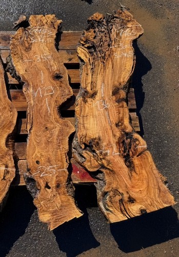 Olivenholz baumscheibe holz - baumscheibe,