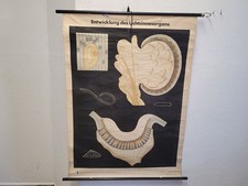 Lehrtafel Karte Entwickl