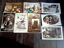 8 alte   Ansichtskarten  - Katzen gelaufen.