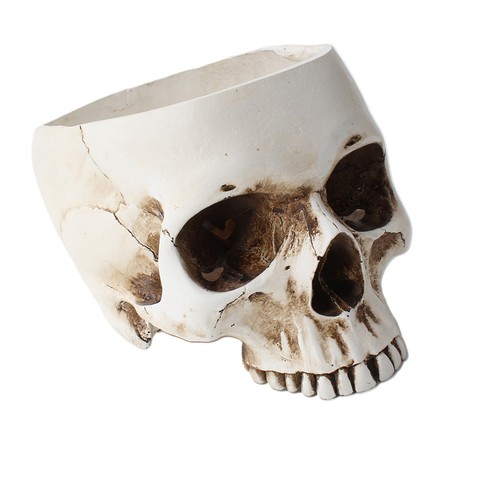 Totenkopf dekorativer - totenkopf,