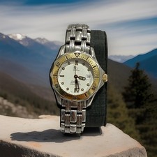 Omega Seamaster Professional