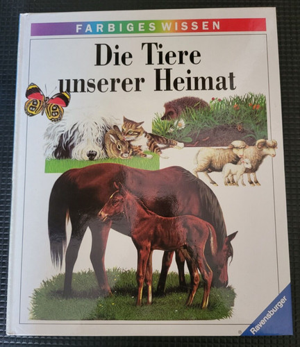 Ravensburger farbiges wissen - farbiges,